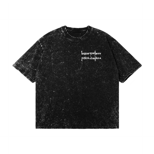 Inversion of intentions (short sleeve snow wash)